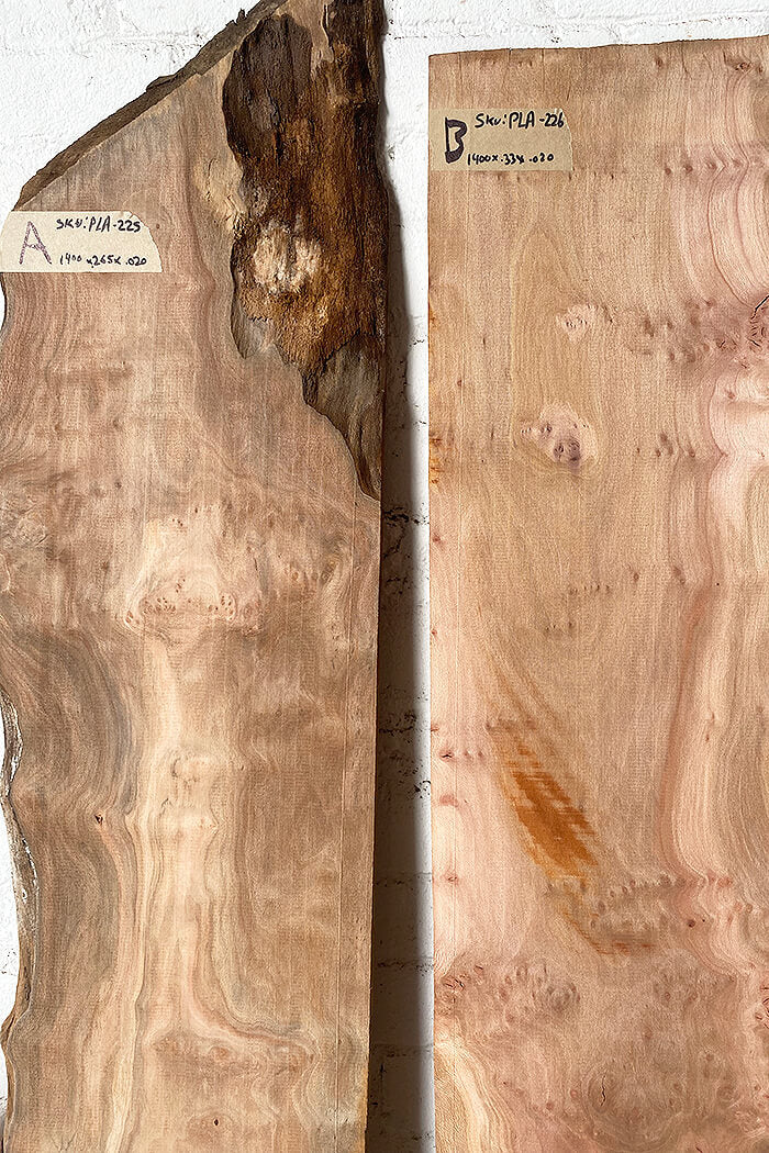 London Plane - Waney Edge Boards