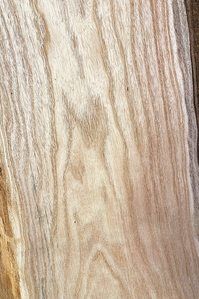 Paulownia - Waney Edge Boards