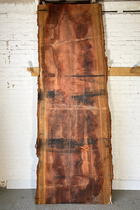 Sequoia Redwood - Giant Waney Edge Board