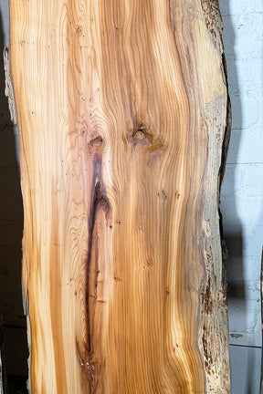 Yew - Double Live Edge Boards 2